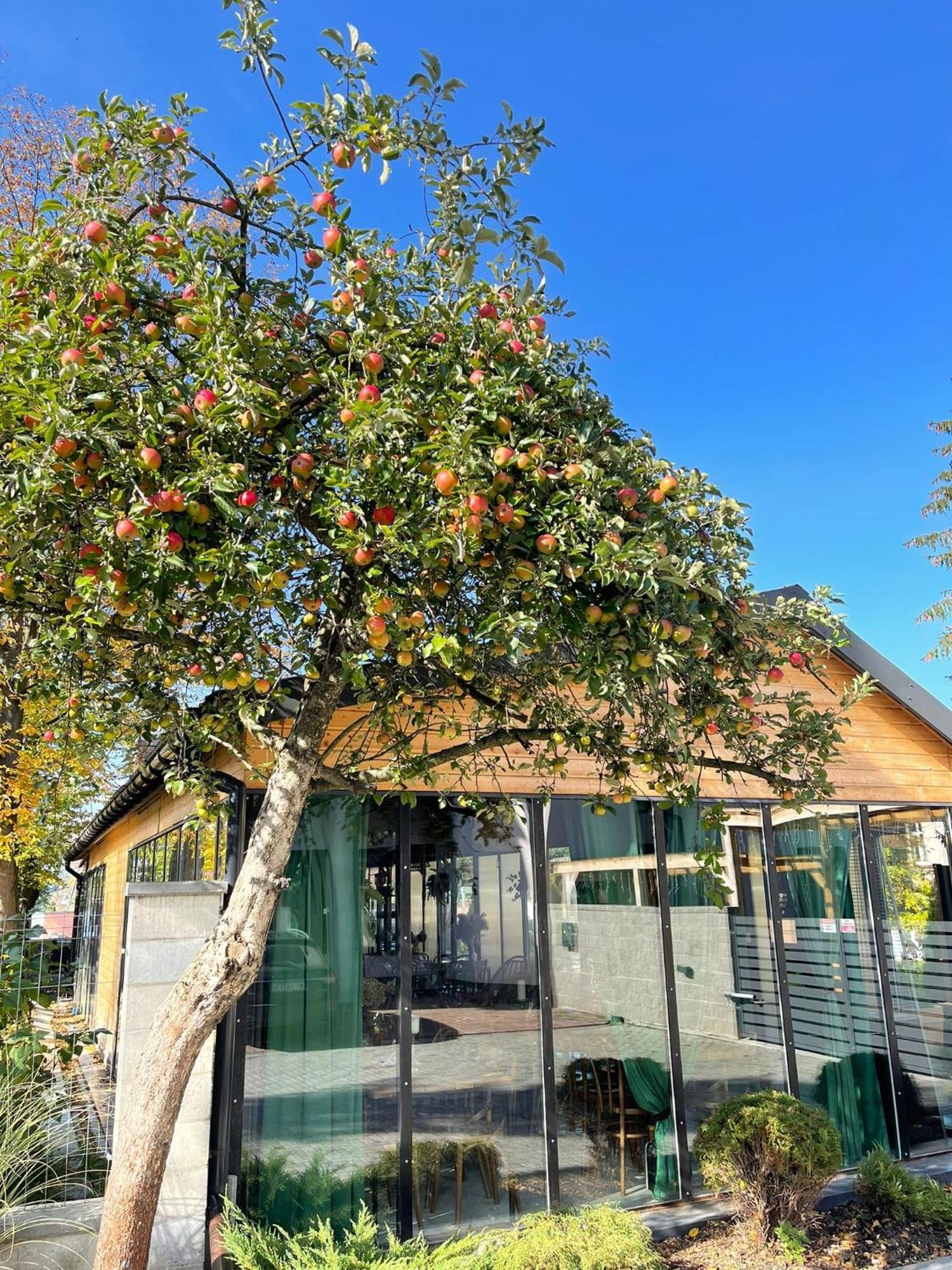 Boho House Aparthotel Ustrzyki Dolne Exterior foto